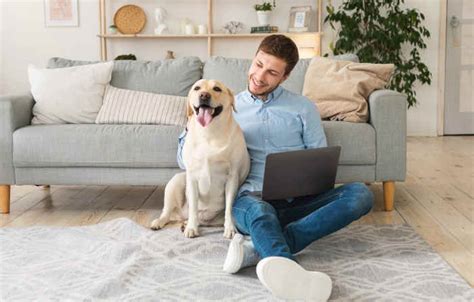 Pet friendly long term airbnb - Similar to the health insurance you have for yourself and your family, pet insurance is a type of insurance policy you can buy to help cover the costs of your pet’s veterinary care.